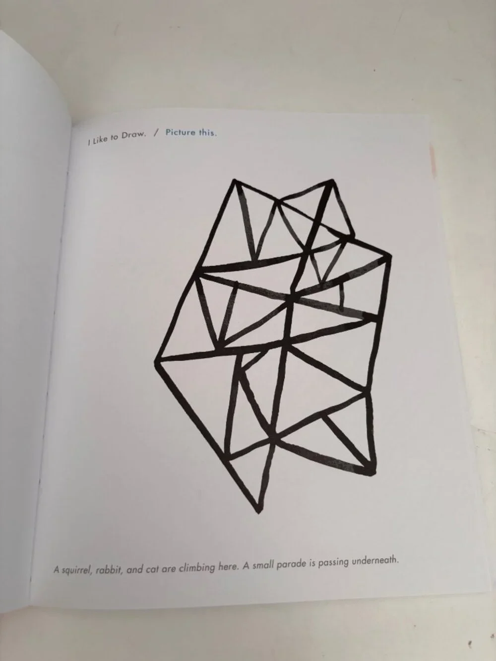 I Like To Draw & Write Activity Book By The Small Object